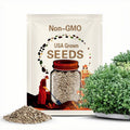 Premium Greek Oregano - Over 200 Fresh Organic Heirloom Seed - Most Popular Oregano on the Market!!