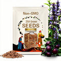 25 Arkansas Black Apple Seeds: Heirloom Variety, USA Grown