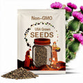 200 Scottish Thistle Seeds: Hardy Perennial Wildflower