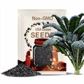 Black Magic Kale Seeds – Heirloom Vegetable, Open Pollinated, Non-GMO, Dark Leafy Greens and Cold Hardy | 250 Seeds