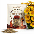 50 Helianthus Seeds Sunflower Procut Lite White Cut Flower Seeds Helianthus Seeds F1 Hybrid