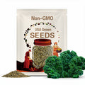 Heirloom Vates Blue Curled Scotch Kale - Grown in USA ! Tasty ! Fresh ! Healthy !
