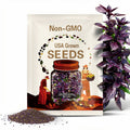 Purple Ruffles Basil Seeds – Heirloom, Aromatic Herb, Deep Purple Ruffled Leaves, Beautiful for Gardens | 250 Seeds