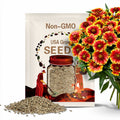 100 Gaillardia Flower Seeds – Heirloom Non-GMO Blanket Flower for Drought-Tolerant Pollinator Gardens