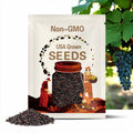 Cabernet Sauvignon Grape Seeds (25 seeds)