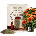 Blanket Flower Seeds - Dwarf Goblin - Authentic Seeds - Cold Resistant - Fast Growing - Easy To Grow - Planting In Spring #8066