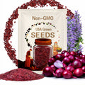 Red Burgundy Onion Seeds - Heirloom Seeds, Short Day, Mild Sweet Onion, Medium Sized, Allium Cepa, Open Pollinated, Non-GMO