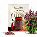 Red Swan Bush Beans, Organic Phaseolus Vulgaris, PV0750