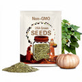 Long Island Cheese Pumpkin Pie Heirloom Premium Seed Packet