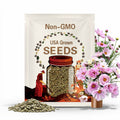 20 seeds Novelty and beautiful Cupcake Blush Cosmos